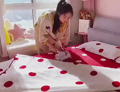 Aspirator Portabil pentru Eliminarea Acarienilor și a Prafului din Țesături